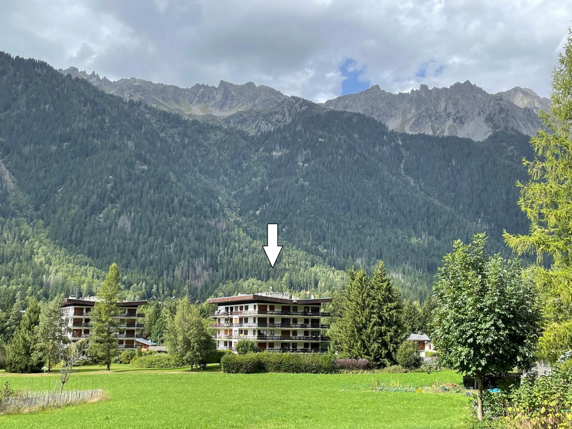 Residence Bois Du Bouchet, Appartement Vue Montagne, Calme, Parking Gratuit, Proche Centre Chamonix Exterior photo
